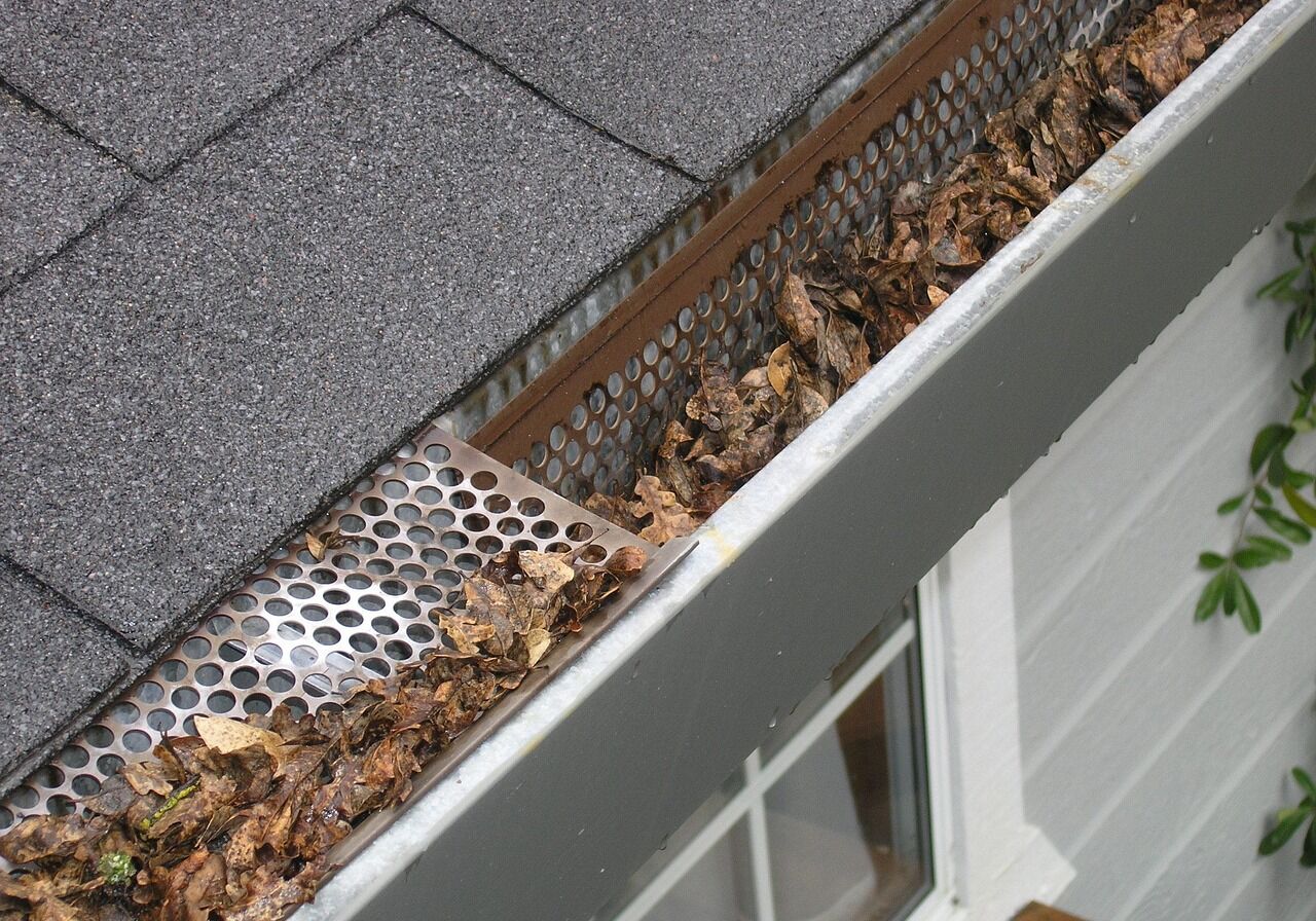 gutter-guard-ipswich-2434467_1280
